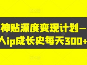 天涯神贴深度变现计划——个人ip成长史每天300+【揭秘】