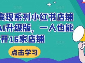小红书变现系列小红书店铺变现,AI升级版,一人也能开16家店铺