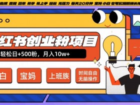 小红书创业粉项目日+500粉,每天20分钟躺赚长尾收益,无脑操作,宝妈,小白抓紧冲【揭秘】