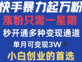 快手暴力起万粉,涨粉只需一星期,多种变现模式,直接秒开万合,单月变现过W【揭秘】