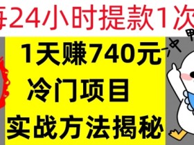 1天赚740元,24小时提款1次,冷门项目,实战方法公开【干货】