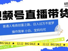 视频号读稿带货,普通人电商创富之路,小白、宝妈均可