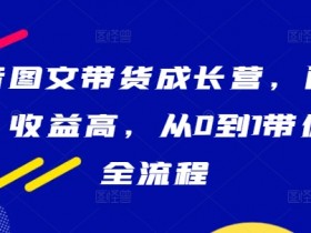 抖音图文带货成长营,门槛低、收益高,从0到1带你学全流程