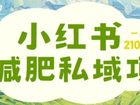 小红书减肥粉,私域变现项目,一单就达210元,小白也能轻松上手【揭秘】
