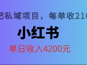 小红书减肥私域项目，每单210元，单日可卖出15单，利润3150