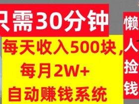只需30分钟,每天收入5张,每月2W+自动赚钱系统,懒人躺赚