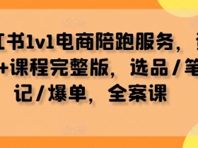 小红书1v1电商陪跑服务,资料+课程完整版,选品/笔记/爆单,全案课