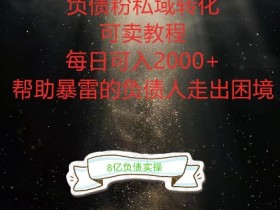 负债粉掘金计划,帮助负债者解决问题,债务规划,债务重组,最好的变现方式【揭秘】