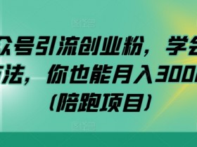 公众号引流创业粉,学会这个方法,你也能月入30000+ (陪跑项目)