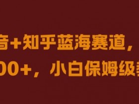 抖音+知乎蓝海赛道,日入几张,小白保姆级教程【揭秘】