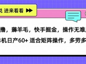 0撸，薅羊毛，快手掘金，操作无难度 单机日产30+ 适合矩阵操作，多劳多得