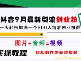 抖音9月最新引流创业粉,轻松制作创业类视频,一天轻松加满一个500人精准创业粉群【揭秘】