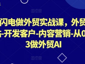 AI闪电做外贸实战课,外贸建站-开发客户-内容营销-从0到3做外贸AI(更新)