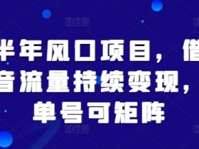 下半年风口项目，借住抖音流量持续变现，可单号可矩阵