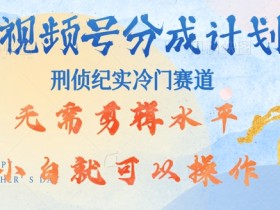 视频号分成计划视刑侦纪赛道领域,新手小白轻松月入过W【类似于犯罪纪录片】
