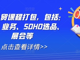 全套外贸课程打包,包括:背调、业务、SOHO选品、展会等