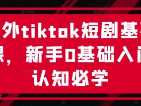 海外tiktok短剧基础课,新手0基础入门认知必学