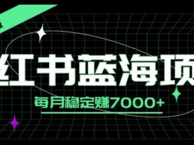小红书蓝海项目,零门槛、高回报,每月稳定赚7000+