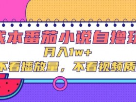 零成本番茄小说自撸玩法,不看播放量,不看视频质量