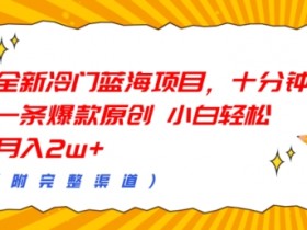 全新冷门蓝海项目,十分钟一条爆款原创,小白轻松月入过w+(附完整渠道)