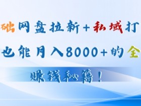 零基础网盘拉新+私域引流：新手也能月入50000+的全自动赚钱秘籍!
