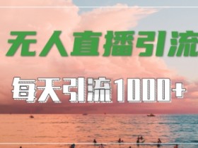抖音快手视频号全平台通用，无人直播引流法，超暴力引流1000+高质量精准创业粉【揭秘】