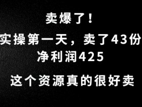 这个资源,需求很大,实操第一天卖了43份,净利润425【揭秘】