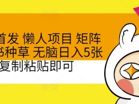 全网首发 懒人项目 矩阵小红书种草 无脑日入5张 复制粘贴即可
