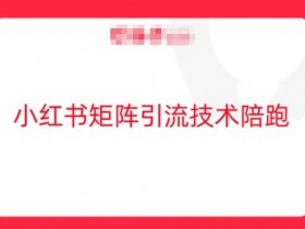 小红书矩阵引流技术,教大家玩转小红书流量