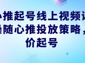 随心推起号线上视频课,实操随心推投放策略,正价起号