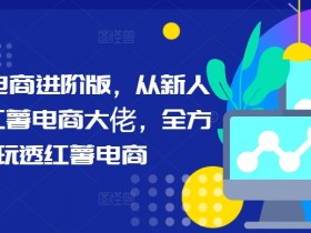 小红书电商进阶版,从新人进阶小红薯电商大佬,全方位玩透红薯电商