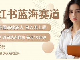 小红书蓝海赛道,圈中高端职场人,月入无上限,可矩阵,内含私域实操教程!