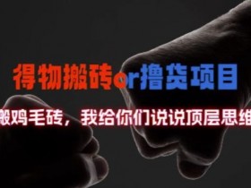 得物搬砖撸货项目?掰下数据,我给你们说说顶层思维【揭秘】