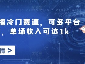 无人直播冷门赛道，可多平台操作，单场收入可达1k