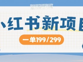小红书新项目,一单199 一天买好几单,月入过W不是梦