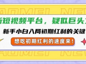 全新短视频平台,新手小白入局初期红利的关键,想吃初期红利的速度来