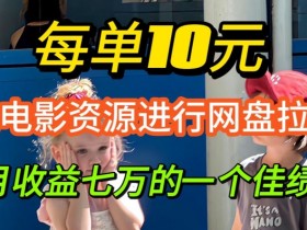 凭借电影资源进行网盘拉新,每单可得 10 元收益