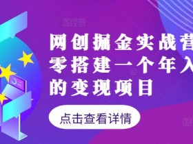 网创掘金实战营,从零搭建一个年入百万的变现项目(持续更新)