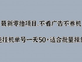 最新零撸项目,不看广告不养机,纯挂JI单号一天50+适合批量操作