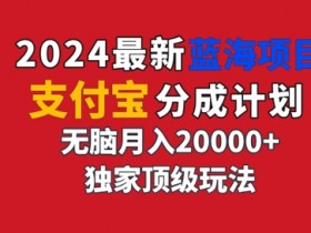 2024最新蓝海项目,支付宝分成计划,独家顶级玩法,无脑自动剪辑,