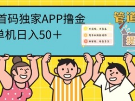 2024首码零撸聚合APP,单机日入50+,提现秒审核秒到账