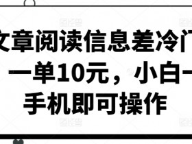 靠文章阅读信息差冷门玩法,一单10元,小白一部手机即可操作