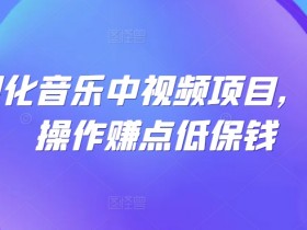 可视化音乐中视频项目,无脑操作赚点低保钱