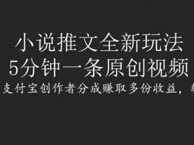 小说推文全新玩法,5分钟一条原创视频,结合视频号支付宝创作者分成赚取多份收益,轻松月入1W+