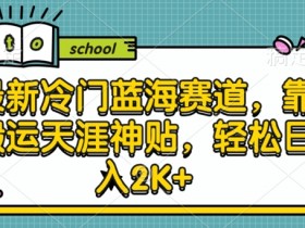 最新冷门蓝海赛道,靠搬运天涯神贴,轻松日入2K+