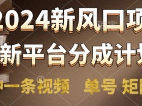 2024风口项目,新平台分成计划,两分钟一条视频,单号 矩阵皆可操作轻松上手月入9000+