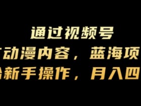 通过视频号推广动漫内容，蓝海项目，适合新手操作，月入四位数