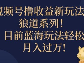 视频号暴力撸收益新玩法之狼道系列,目前蓝海玩法轻松月入过万