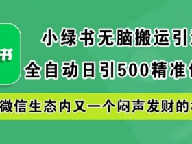 小绿书无脑搬运引流,全自动日引500精准创业粉,微信生态内又一个闷声发财的机会【揭秘】