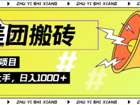 2024美团搬砖6.0.日入几张, 新手宝妈都可以轻松拿到结果 蓝海项目,长久稳定